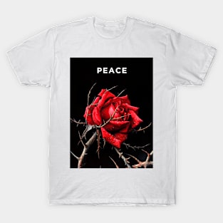 Peace: No More War,  World Peace Now T-Shirt